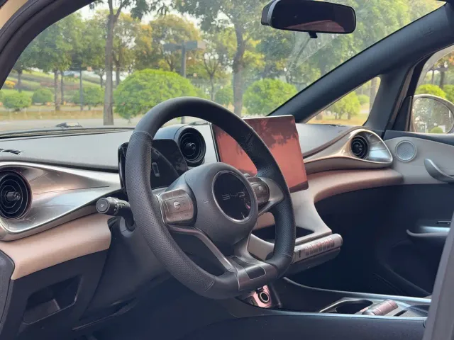 BYD Dolphin — Фото автомобиля 12