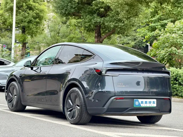Tesla Model Y — Фото автомобиля 6