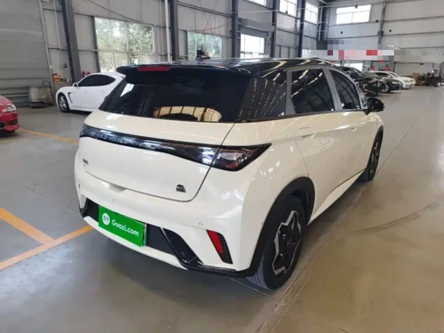 BYD Dolphin — Фото автомобиля 6