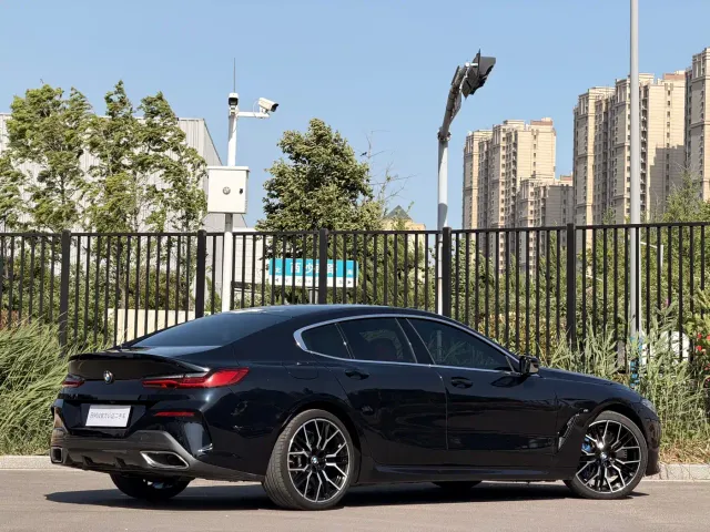 BMW 8 Series — Фото автомобиля 23