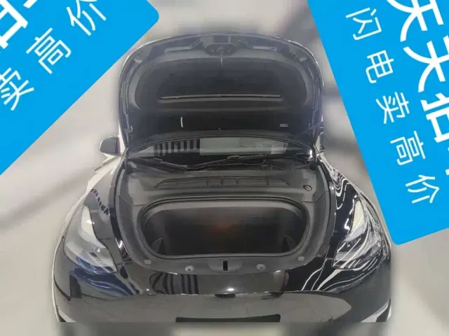 Tesla Model Y — Фото автомобиля 3