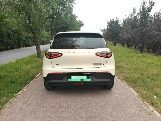Geely Starry Wish — Фото автомобиля 8