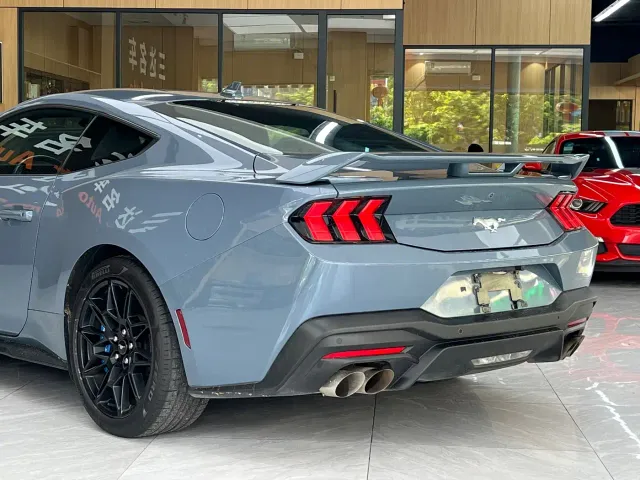 Ford Mustang — Фото автомобиля 16