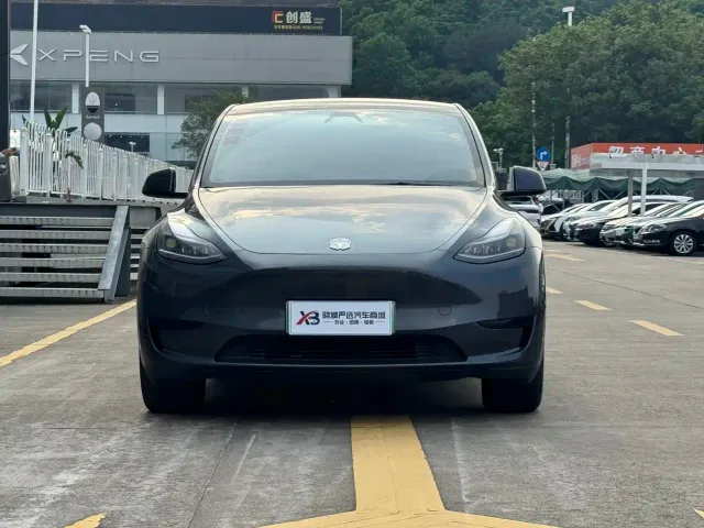 Tesla Model Y — Фото автомобиля 2