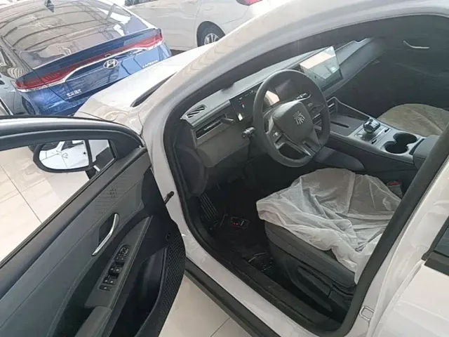 BYD Qin PLUS — Фото автомобиля 15