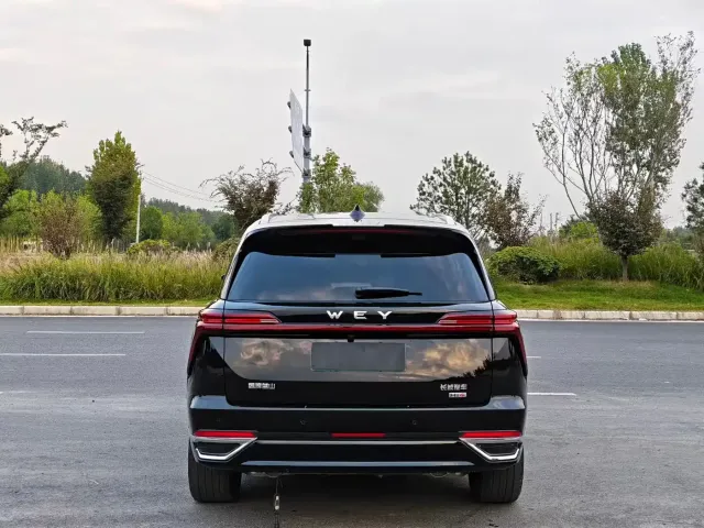 Wey Lanshan — Фото автомобиля 8