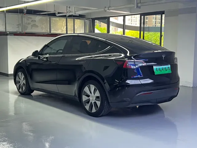 Tesla Model Y — Фото автомобиля 11