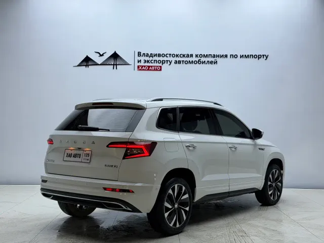Skoda Karoq — Фото автомобиля 6