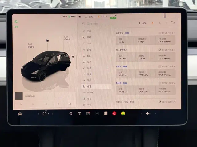 Tesla Model Y — Фото автомобиля 11