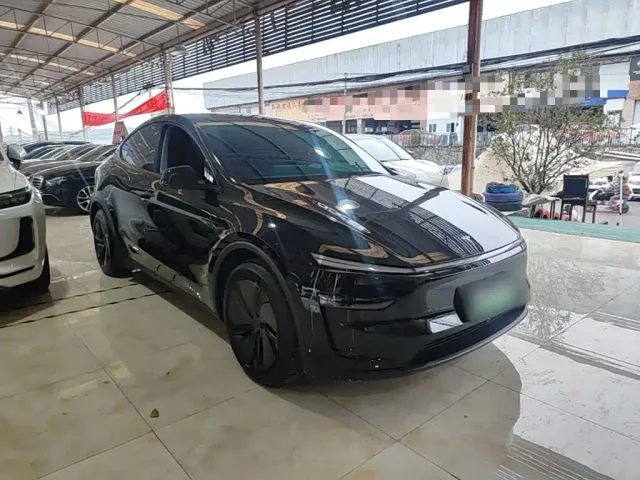 Tesla Model Y — Фото автомобиля 3