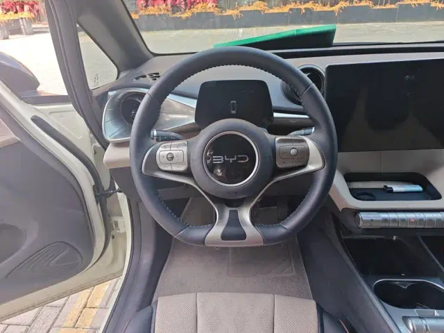 BYD Dolphin — Фото автомобиля 2