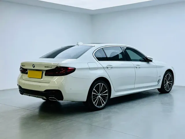 BMW 5 Series — Фото автомобиля 6