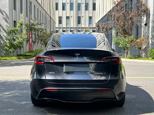 Tesla Model Y — Фото автомобиля 8