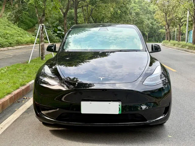 Tesla Model Y — Фото автомобиля 2