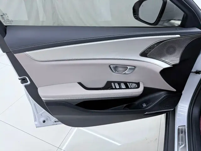 BYD Han — Фото автомобиля 16