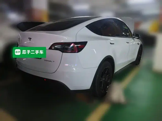 Tesla Model Y — Фото автомобиля 6