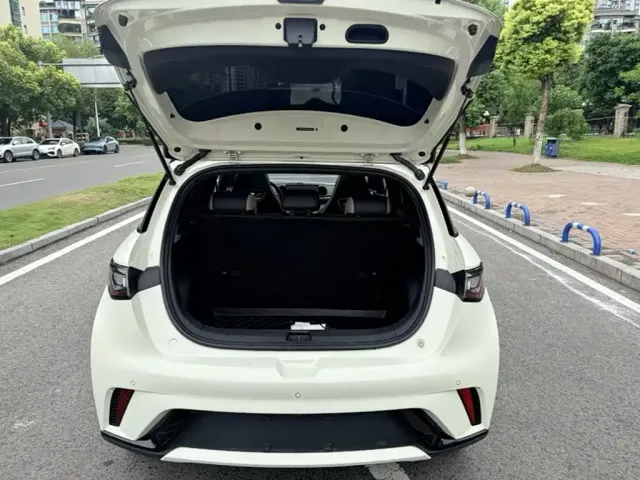 BYD Dolphin — Фото автомобиля 8