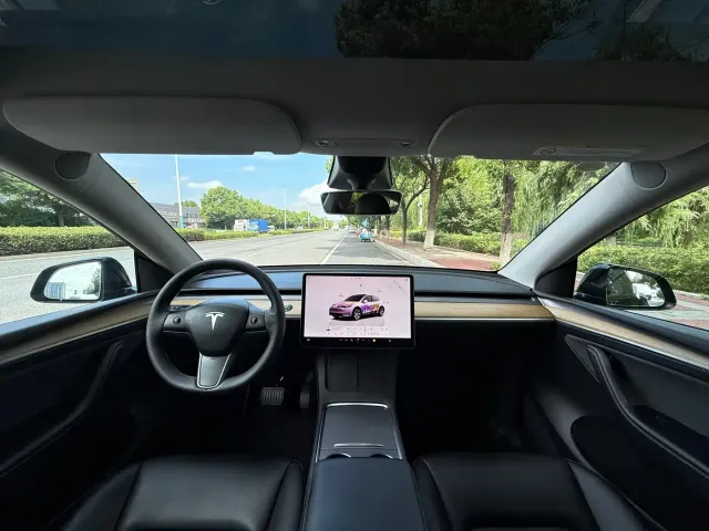 Tesla Model Y — Фото автомобиля 15