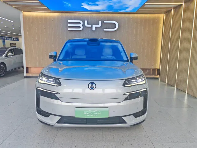 Denza N9 — Фото автомобиля 2