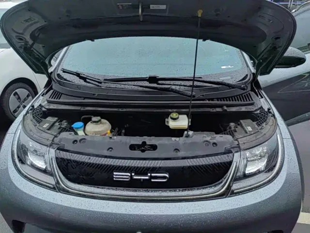 BYD Dolphin — Фото автомобиля 19
