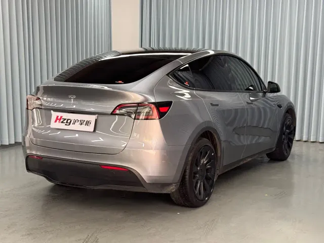 Tesla Model Y — Фото автомобиля 9