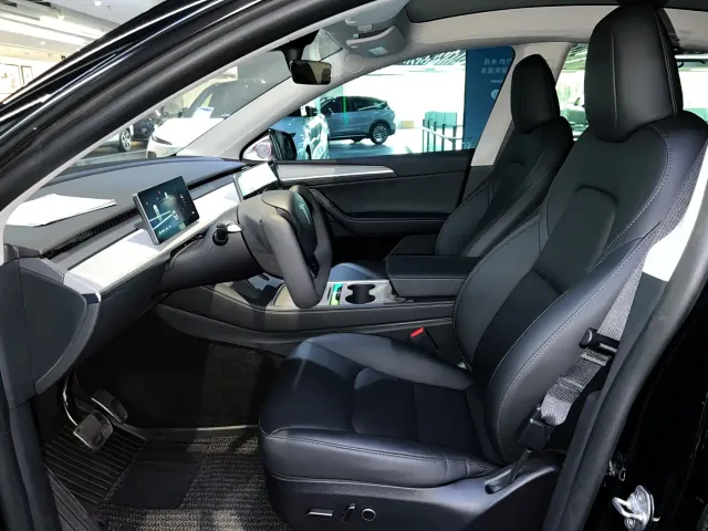 Tesla Model Y — Фото автомобиля 10
