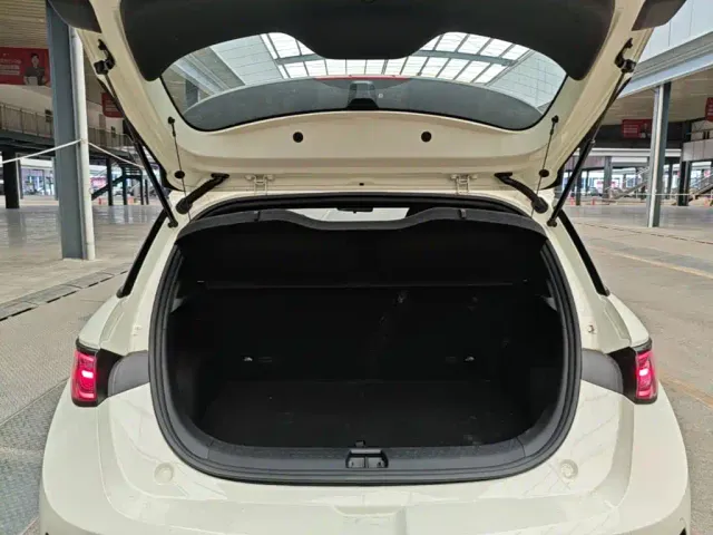BYD Dolphin — Фото автомобиля 18