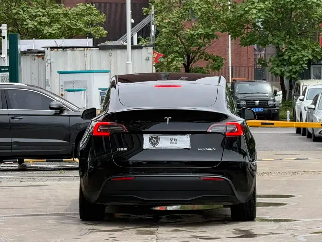 Tesla Model Y — Фото автомобиля 13