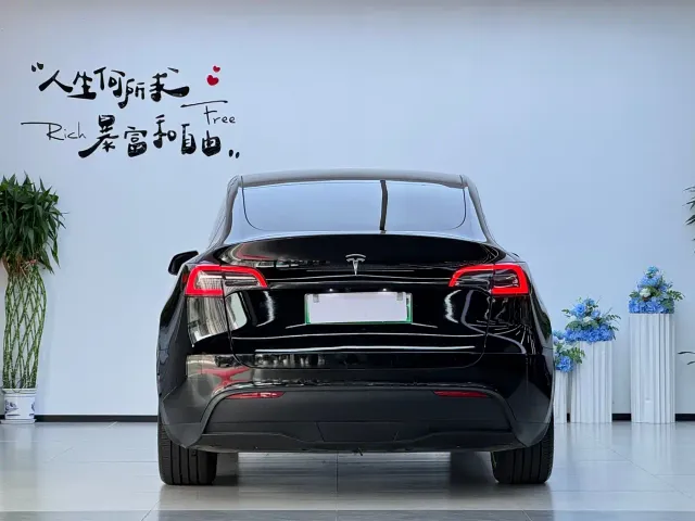 Tesla Model Y — Фото автомобиля 16