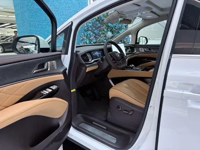 Denza D9 — Фото автомобиля 11