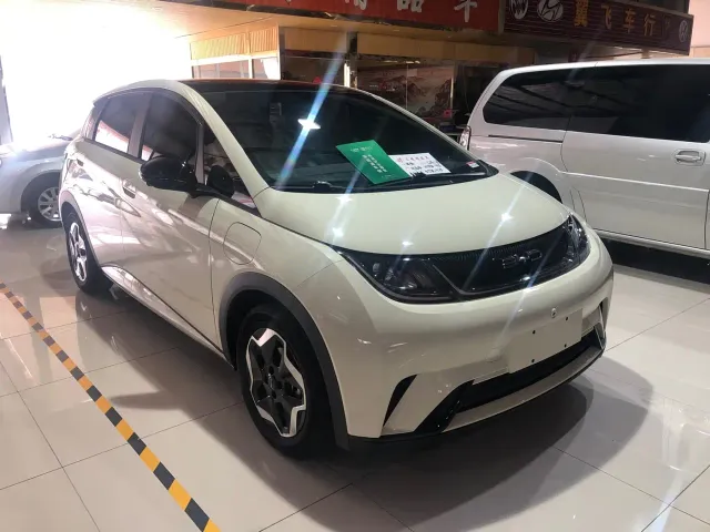 BYD Dolphin 2021 Model 405km Fashion Edition — Фото автомобиля 12