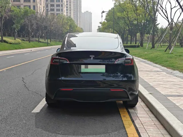Tesla Model Y — Фото автомобиля 4