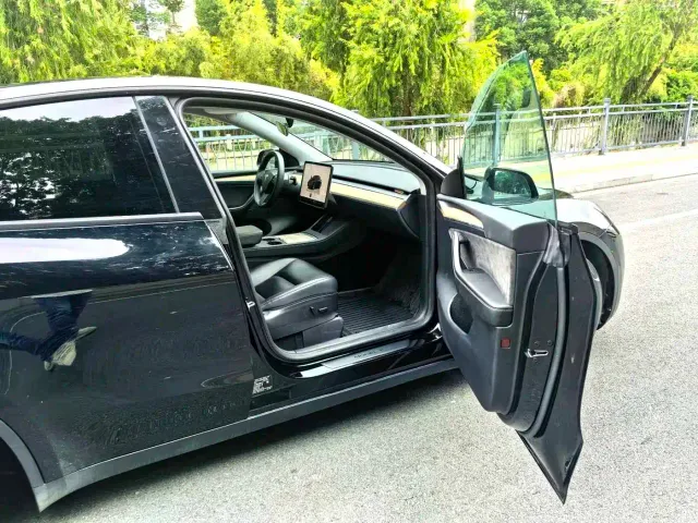 Tesla Model Y — Фото автомобиля 7
