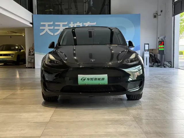Tesla Model Y — Фото автомобиля 2