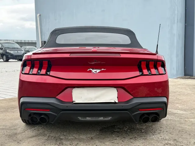 Ford Mustang — Фото автомобиля 6