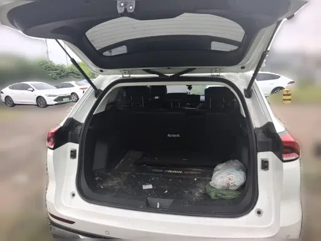 Haval H6 — Фото автомобиля 9