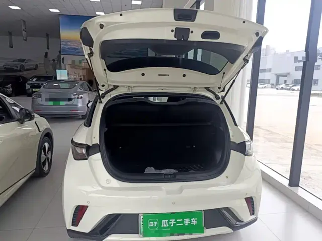 BYD Dolphin — Фото автомобиля 18