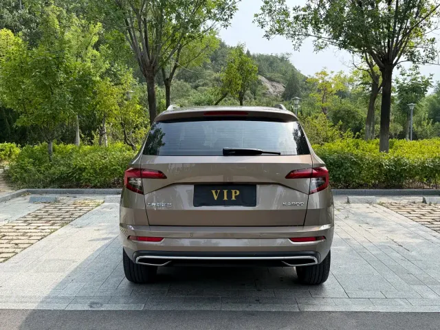 Skoda Karoq — Фото автомобиля 14
