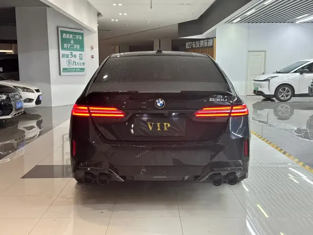 BMW 5 Series — Фото автомобиля 5