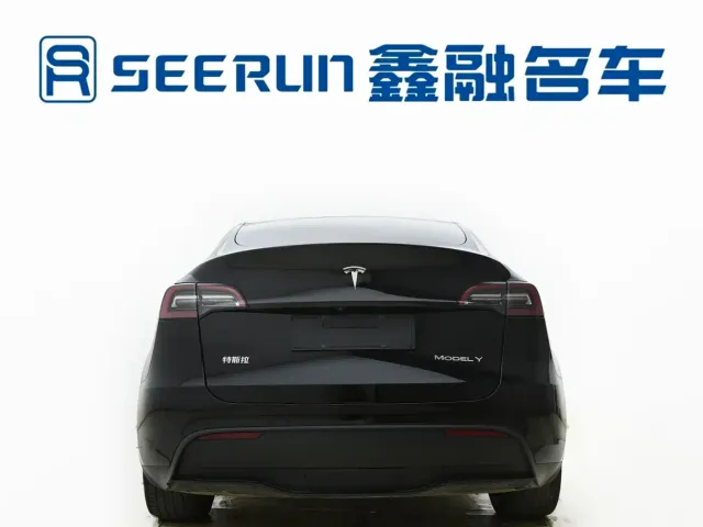 Tesla Model Y — Фото автомобиля 13