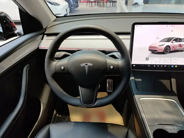 Tesla Model Y — Фото автомобиля 10
