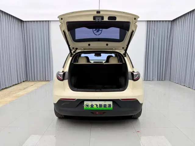 Geely Starry Wish — Фото автомобиля 17