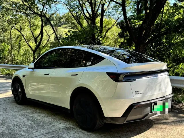 Tesla Model Y — Фото автомобиля 4