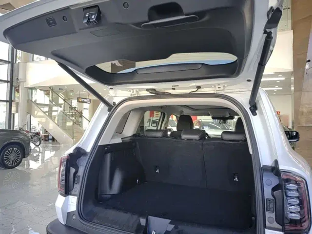 Haval Big Dog — Фото автомобиля 18