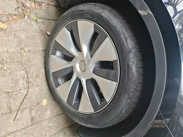 Tesla Model Y — Фото автомобиля 6