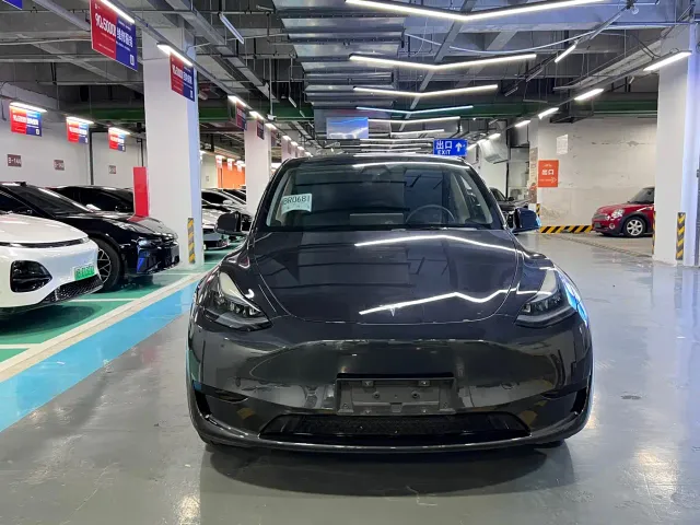Tesla Model Y — Фото автомобиля 2