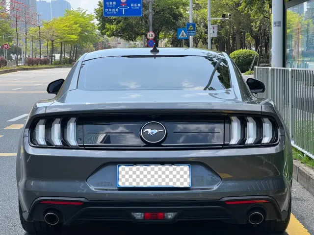 Ford Mustang — Фото автомобиля 16