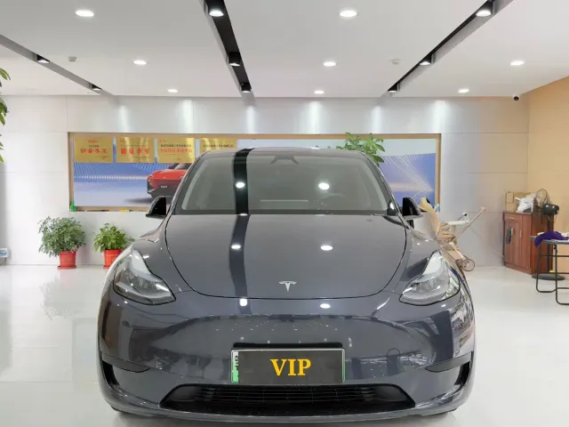 Tesla Model Y — Фото автомобиля 2