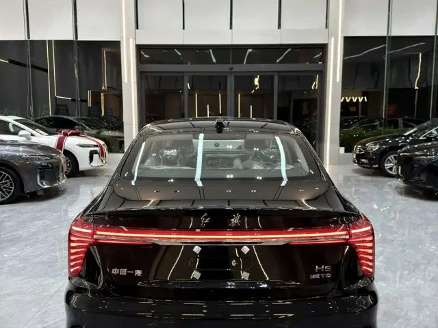 Hongqi H5 — Фото автомобиля 19