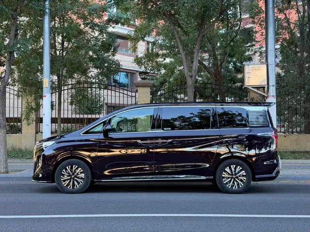Hongqi HQ9 PHEV — Фото автомобиля 3